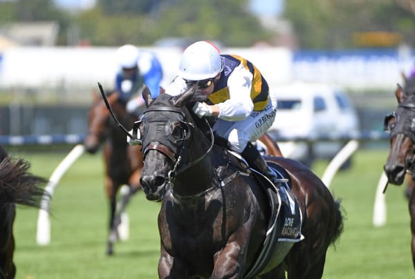 Alexanders hoping for dream start with exciting juvenile