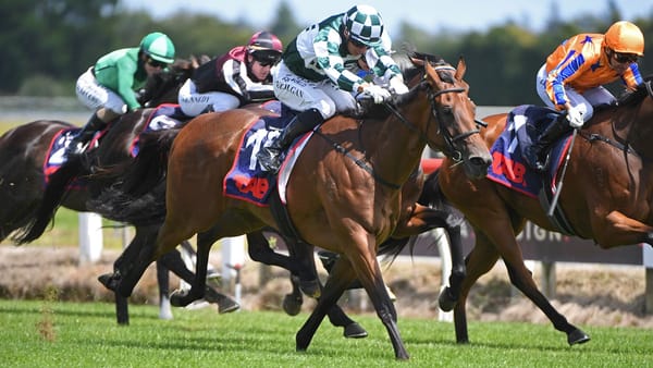 Yulong add another Guineas heroine to Kiwi portfolio
