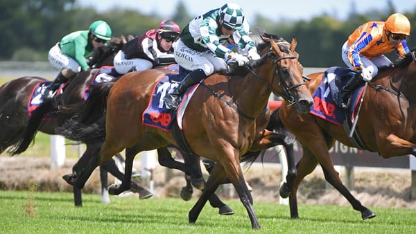 Guineas glory for Monovale filly