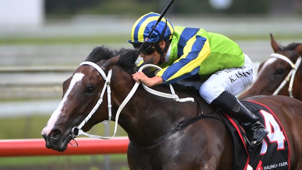 Barrier blues continue for gifted Ardalio