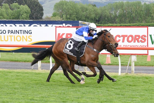 Bobby Mcgee hunting further stakes success