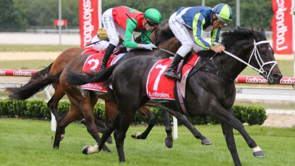 Group victory powers Cup hope across Tasman