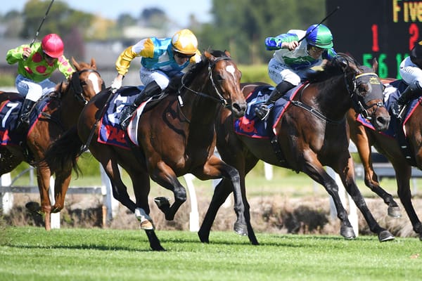 Bulgari to answer important question at Ellerslie