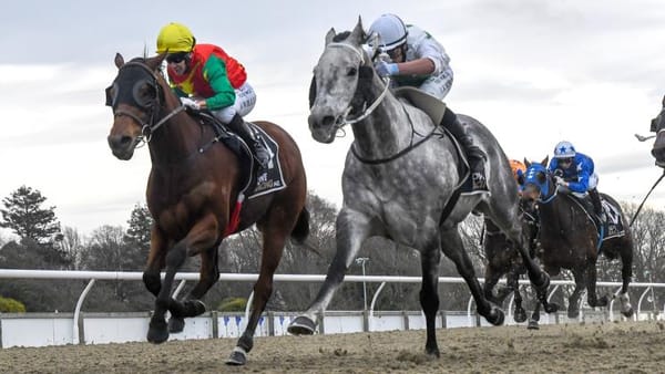Horowhenua Battler looking to open some Foxton Fizz in Group One