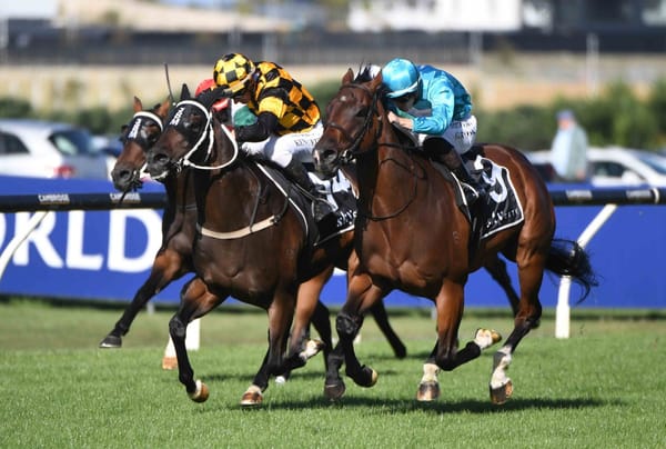 I’m All In scoops the pot at Ellerslie