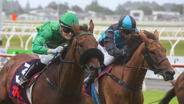 Noble Knight on Southland crusade