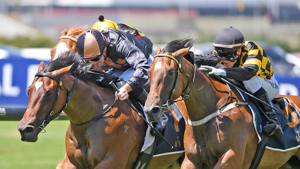 Noble set to take two more shots at Group One glory