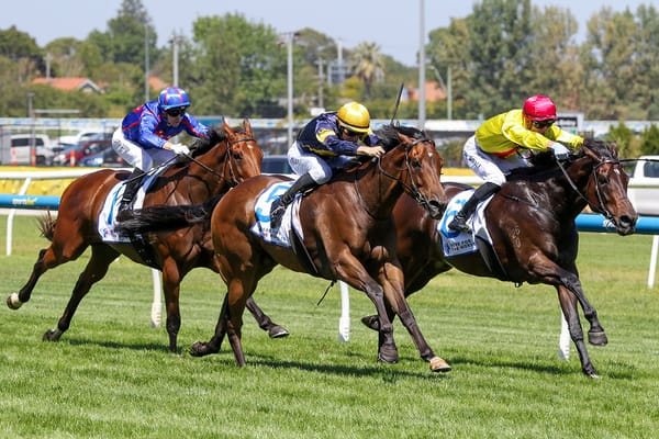 First black-type success for Oak Hill