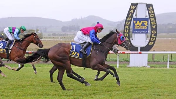 Opawa Jack prevails in Wairoa Cup