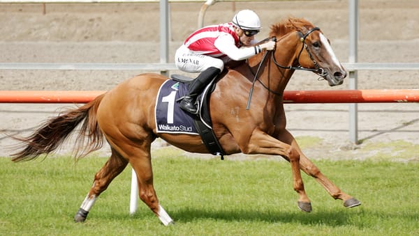 Injury plagued sprinter makes successful return at Matamata