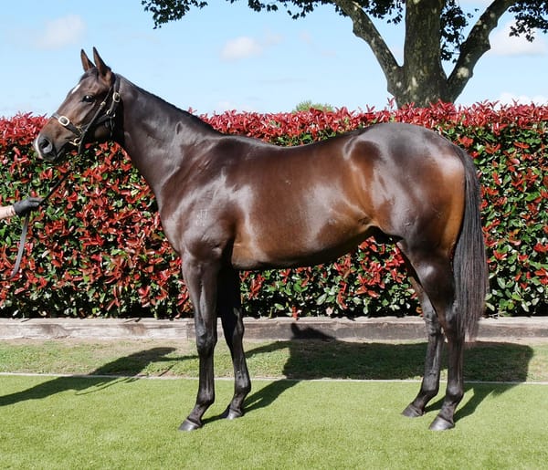 Power Beau Springs Surprise in City Of Marion Stakes