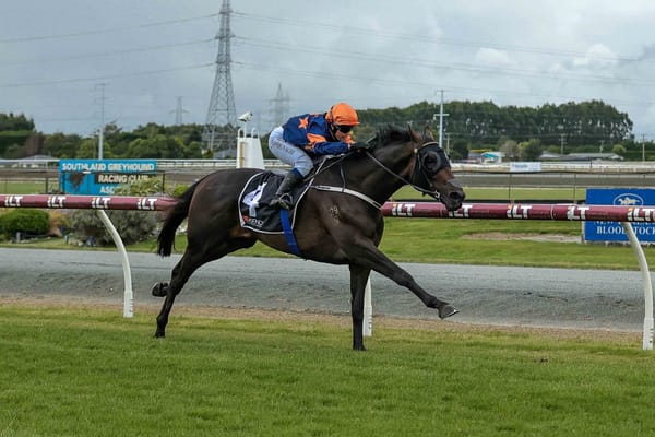 Timaru gelding proves too smooth in Invercargill Gold Cup