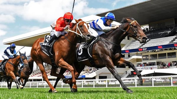 Less travel time to suit Group One hope Tomodachi