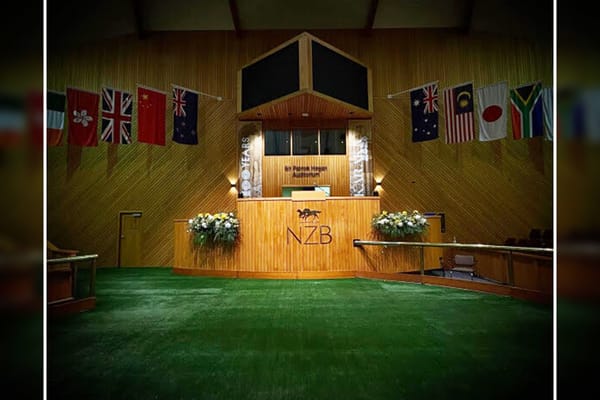 Final Results for NZ’s Historic 100th National Yearling Sale