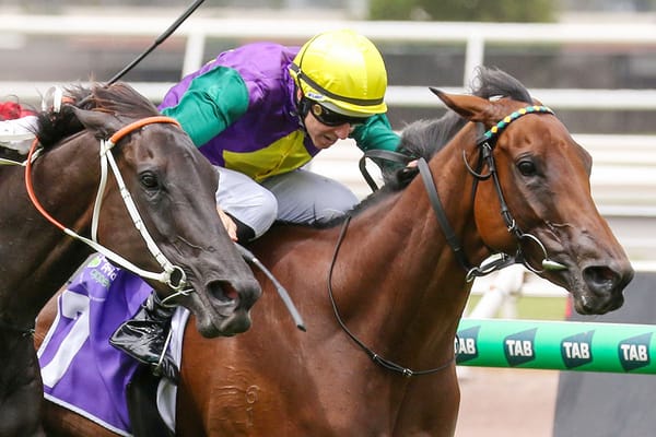 Well-related mare salutes at Flemington