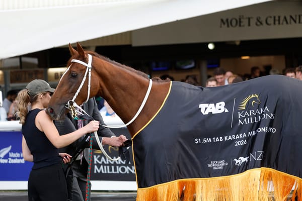 Entries Open for 2026 National Online Yearling Sale