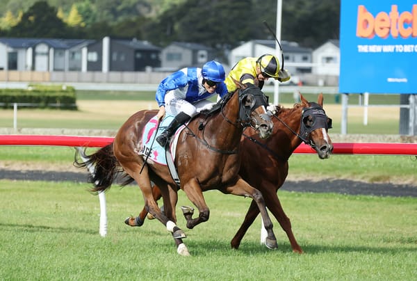 Archaic Smile delivers in Flying Handicap