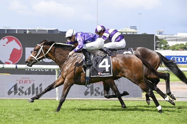 Ranvet reward for Aeliana