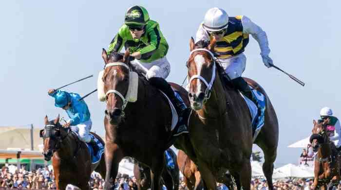 American Wolf (NZ) Wins Thrilling Adelaide Cup