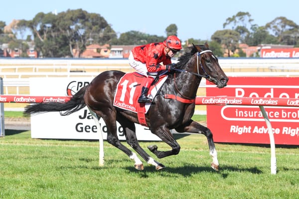 Aussie raider draws visitor’s gate