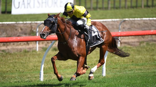 Churchillian back to her best in Tauranga victory