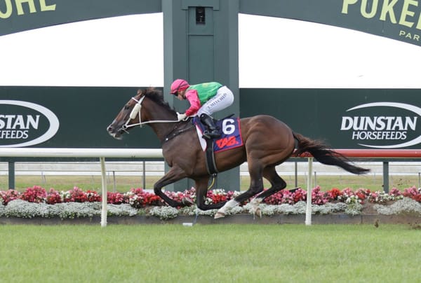 In-form Ormsby looking forward to Manawatu Sires’ challenge