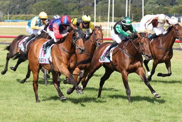 Doctor prescribed a trip across the Tasman