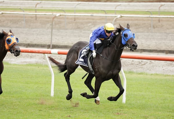 Giacomo goes back-to-back in South Waikato Cup