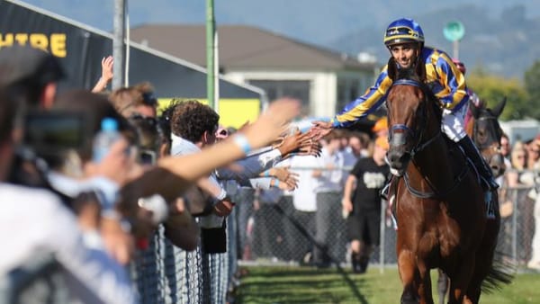 Anderson Bridge earns stakes tilt