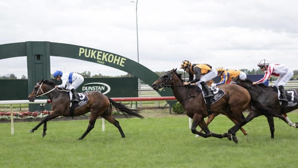 Guineas ideal fit for improving Flashback