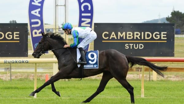 Return to Trentham fits with Waimea Bay