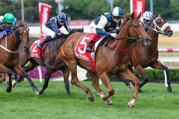 Caulfield return suits Jimmysstar