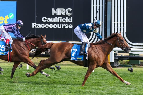 Zhara booked for Jimmysstar