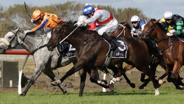 Easter Handicap in crosshairs for Lupo Solitario