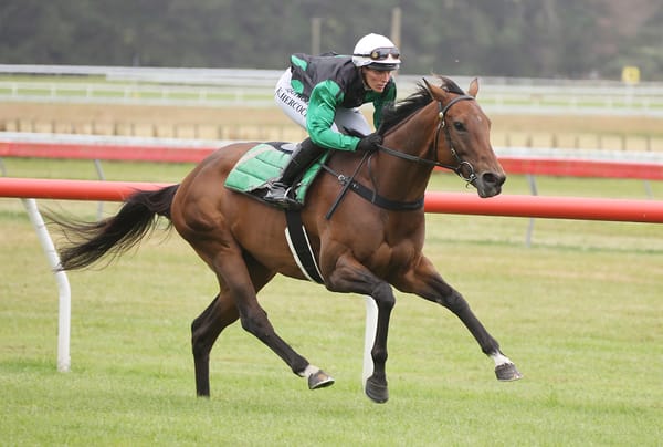 Molly hunting Group One crown
