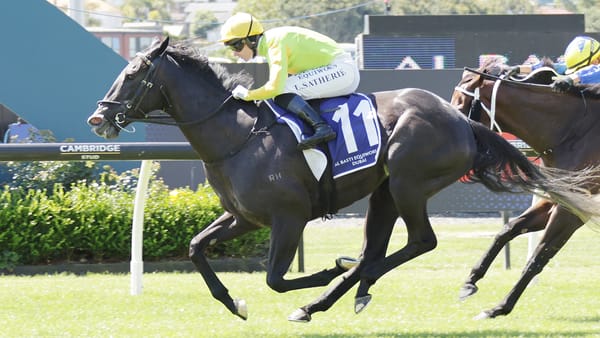 Mare full of Moxie in Dubai Classic