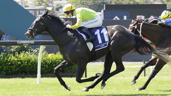 Harrison mulling next move with Moxie