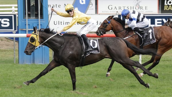 Omega Boy takes out Tauranga feature