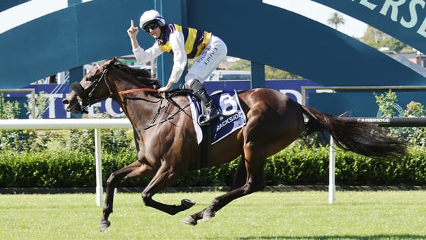 Aussie raider storms home in Auckland Cup