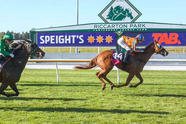 Te Akau notch Century with Perlino