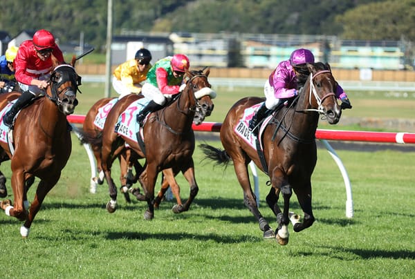 Platinum Attack back on top at Trentham