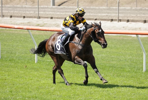 Bright future tipped for Rioja