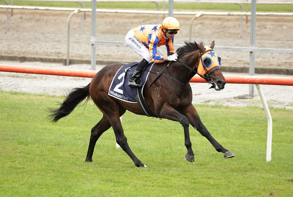Promising juvenile seizes the day at Matamata