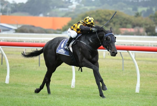 Blinkers prove the difference for well-related three-year-old