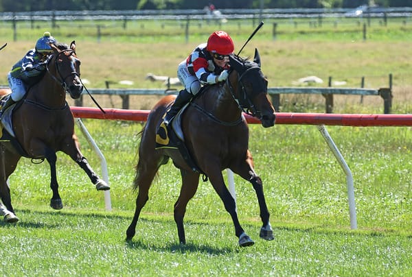 Maiden win sparks stakes tilt for promising filly