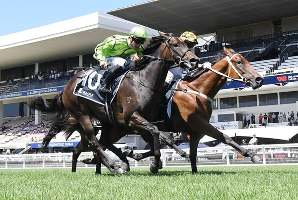 Sires’ Produce start in mix for smart debutante