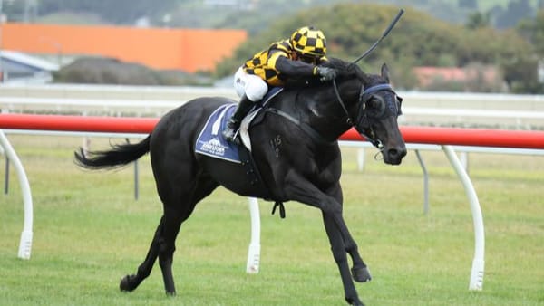 Blinkers prove the difference for well-related three-year-old