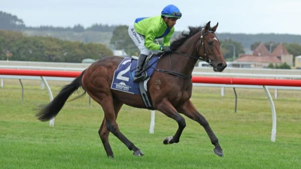 Kneebone kicking goals early in training career
