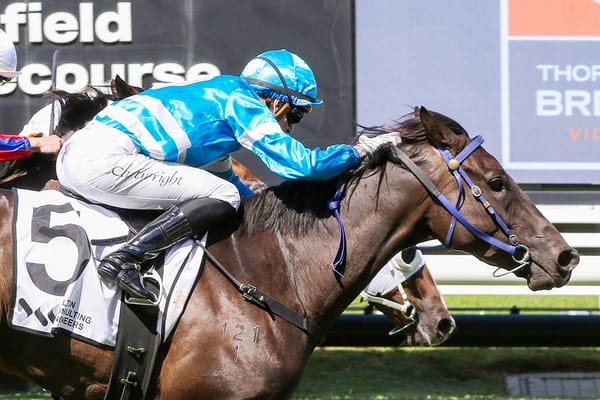 Bargain buy closes in on $400,000 in stakes with Caulfield win