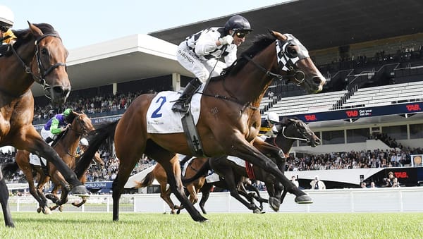 Top WFA honours await Tuxedo